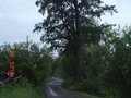 [Природа] Дорога на 8 км